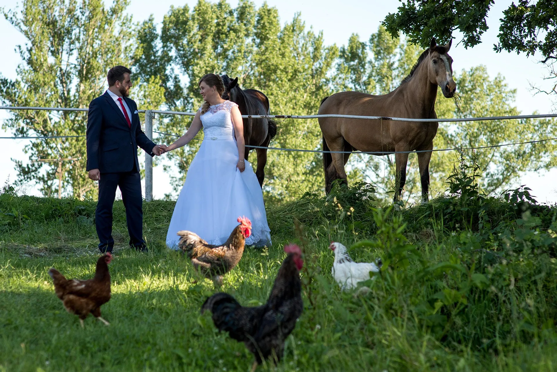 Wiejski plener z koniem i kurami